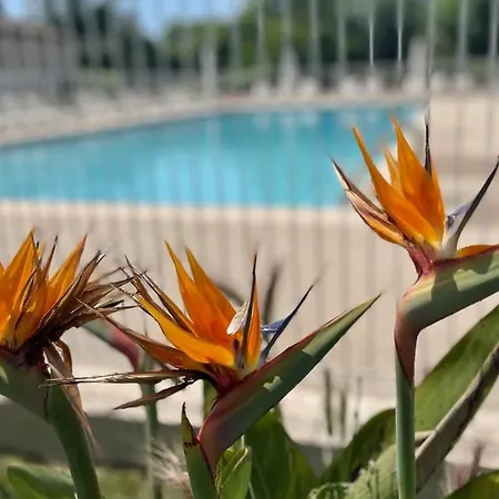 Bel T2 Dans La Bastide Les Suites De Robinson Apartment